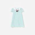 Mint Lace Collared Dress