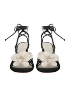 Orchid Wedge 85