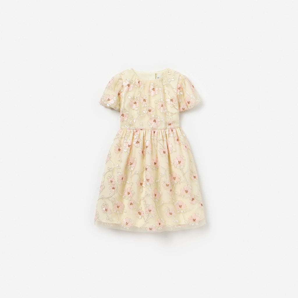 Cream Embellished Flower Tulle Dress